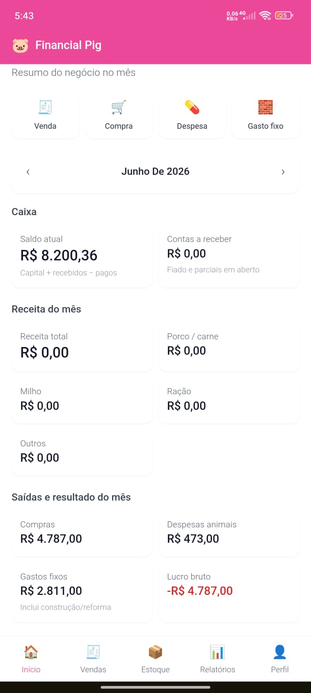 Imagem do projeto Sistema de gestão financeira